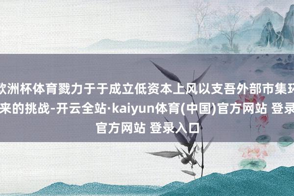 欧洲杯体育戮力于于成立低资本上风以支吾外部市集环境带来的挑战-开云全站·kaiyun体育(中国)官方网站 登录入口