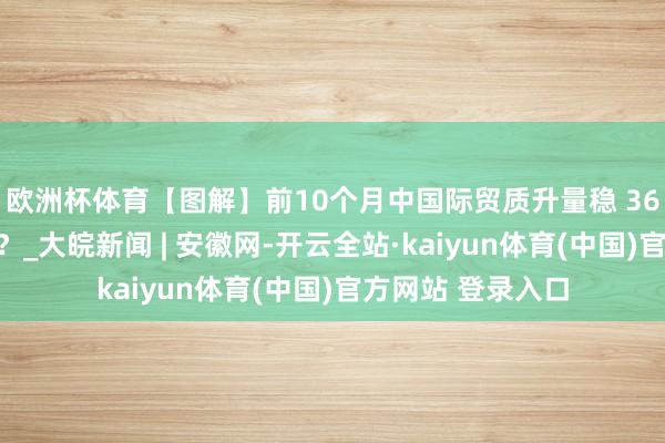 欧洲杯体育【图解】前10个月中国际贸质升量稳 36万亿如何作念到？_大皖新闻 | 安徽网-开云全站·kaiyun体育(中国)官方网站 登录入口