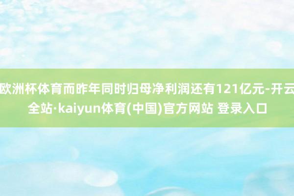 欧洲杯体育而昨年同时归母净利润还有121亿元-开云全站·kaiyun体育(中国)官方网站 登录入口